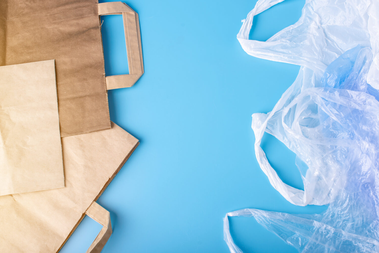 Plastic vs Paper Bags Comparison
